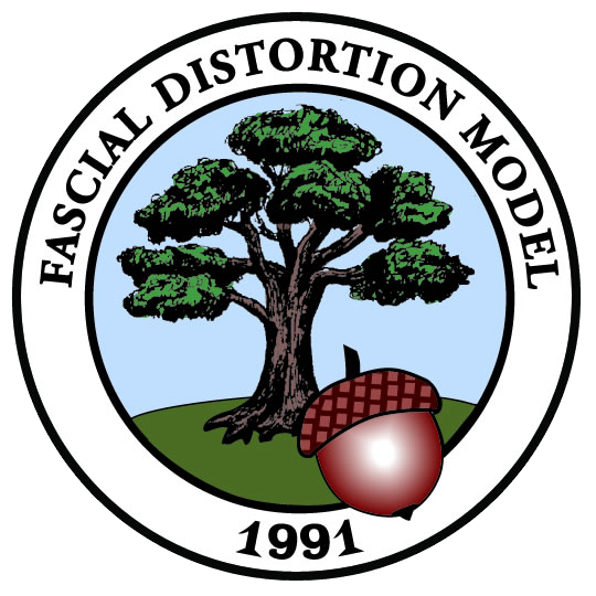 Fascial Distortion Model - FDM - Warszawa Fizjoterapia